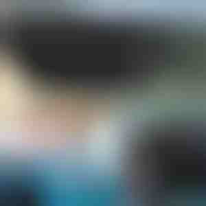 Ombrello parasole per auto | SHADESHELLA