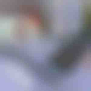 Parasole per auto e finestre | SUNGUARD