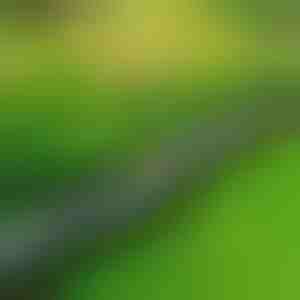 Bordatura da giardino effetto pietra (10 pz.) | MINIFENCE