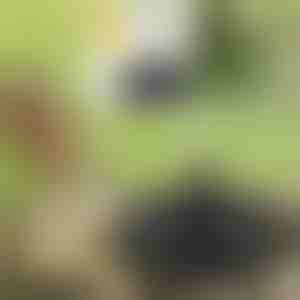 Dai vita al tuo giardino con la magia della fontana solare | FONTANA