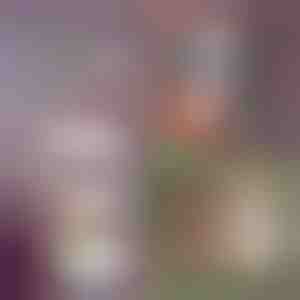 Scaffale pieghevole a 5 livelli| FOLDWAY