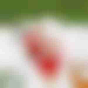 Babbo Natale scalatore SANTACLIMB