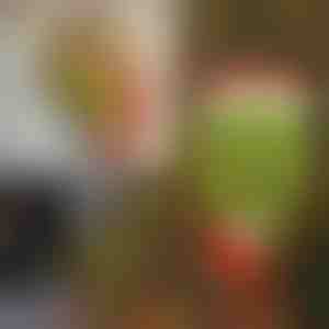 Decorazione natalizia | ELFLEGS