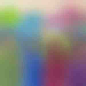 Giocattolo, cuscino e felpa con cappuccio | PILLOWPET