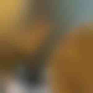 Luci a forma di rami | BRANCHLUMOS