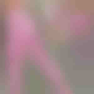 Leggings estremamente confortevoli | SPRINTLEGS