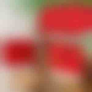 Fodere per sedie in stile natalizio (4 pezzi) | SANTASEAT