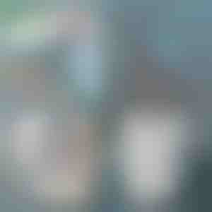 Paletta per sabbiera del gatto | SCOOPY