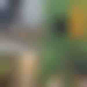 Sega portatile con manici | TREKSAW