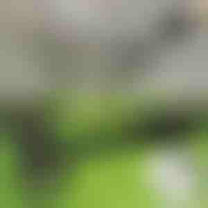 Estirpatore per erbacce in piedi | RUNCO