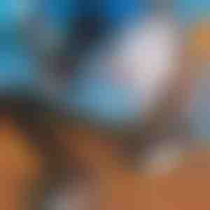 Tracolla regolabile porta sci | SKITREK