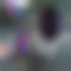 Caricabatterie e supporto intelligente senza fili per auto | DELUXE