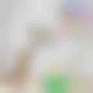 Giocattolo elettrico per gatti che imita gli uccelli | BIRDIETOY