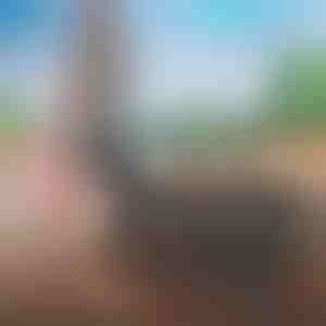 Borsa da viaggio facile da trasportare | FOLDARA