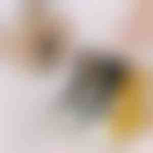 Calzini a zampa di gatto (3 pezzi) | GATOSOCKS