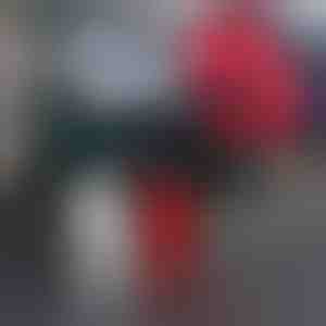 Adesivi Monster Claw per auto (4 pezzi) | SHINECLAW