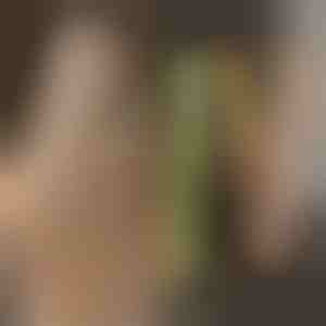 Piastra arricciacapelli TWISTLINE