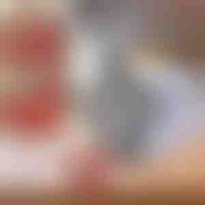 Tritacarne automatico | MESOMIX