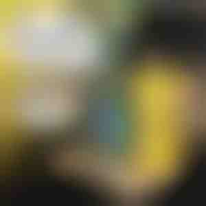 Vassoio per auto per bambini | MUNCHI