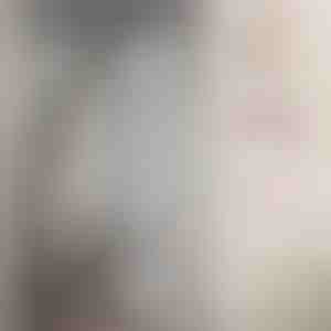 Zanzariera magnetica per porte | INSECTPROTECT