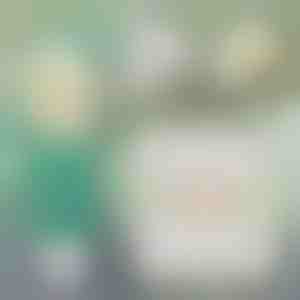 Soluzione istantanea per la riparazione delle pareti | WALLFIX