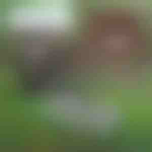 Strumento multifunzionale per la manutenzione del suolo | PRONGSPRO