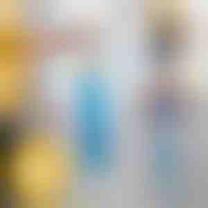 Spazzola per spolverare a lunga gittata | DUSTOFF