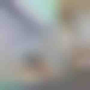 Pellicola per finestre decorativa e protettiva della privacy | PRISMWRAP