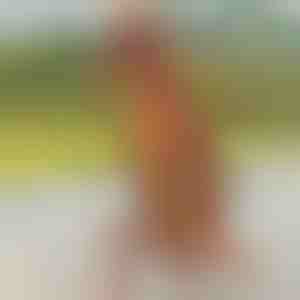 Costume gonfiabile da dinosauro | TREXCOS