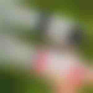 Pistola a bolle LED con 69 fori | BUBBLEPUFF