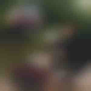 Secchio da pesca pieghevole | RIBETINA