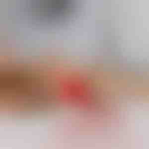 Giocattolo per animali che si muove al tocco | GATOPLAY