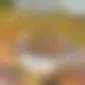 Griglia portatile | GRILLSTER