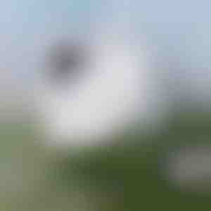 Pulizia delle finestre senza sforzo | WINDOWSWIPE