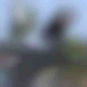 Porta telefono universale impermeabile per bicicletta | BRACKZPHONE