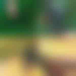 Forbici Professionali 2-in-1 per Potatura e Innesto | MASTERCUT