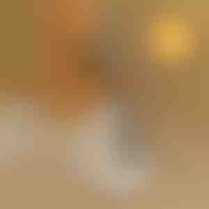 Ausilio per calzare senza piegarsi | SHOEVA