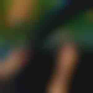 Guarnizione per auto (5m) | EVOSEAL