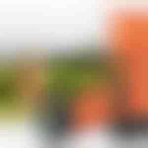 Dispositivo ad ultrasuoni per l’addestramento degli animali | WOOFSTOP