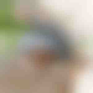 Giocattolo interattivo uccellino svolazzante | CHIRRCAT