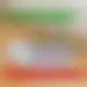 Tappetini per cuccioli riutilizzabili e a prova di perdite | PAWSORB